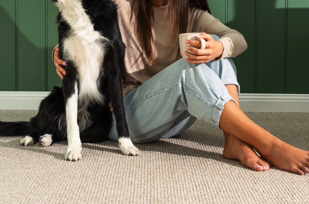 Person and dog on carpet as a part of website traffic campaign on social media.