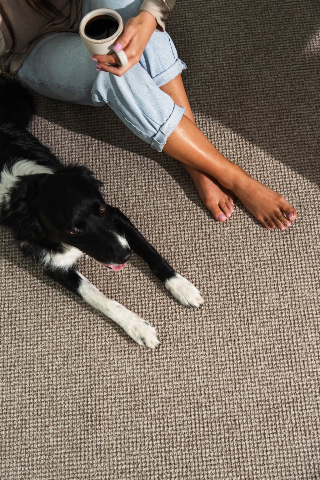 Dog on carpet for photography direction provided by content production agency Adelaide.