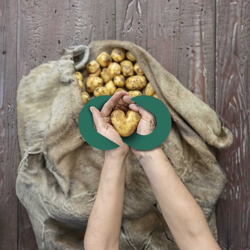 Hero brand identity image of person holding misshapen potato with logo mark.