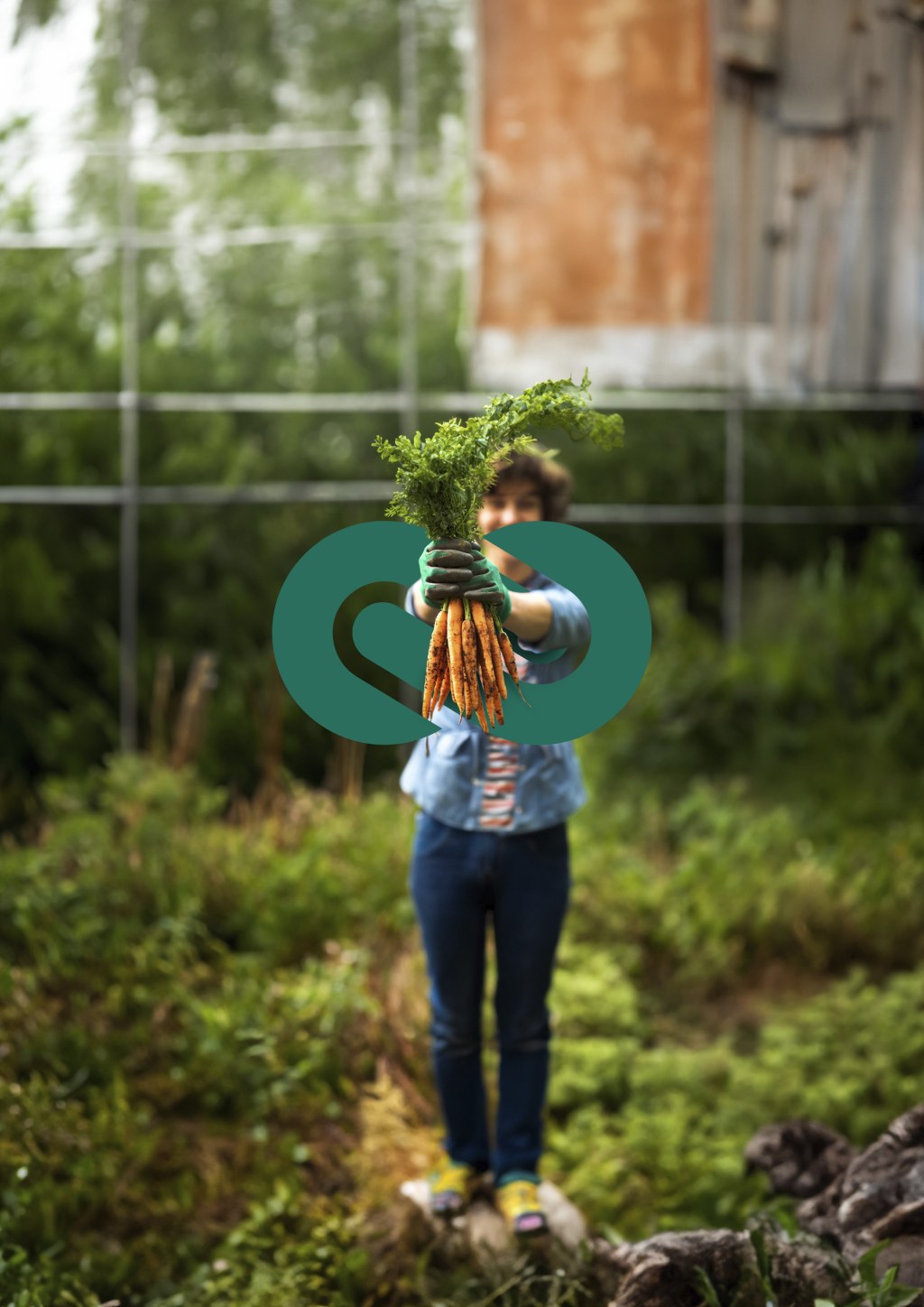 Woman holding carrots with logo mark as a part of brand development image suite.